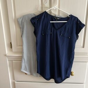 Two Express sleeveless blouses one blue one gray.